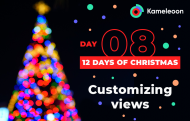 Kameleoon: Customizing views